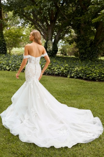 Sophia Tolli #Y22262 #1 thumbnail
