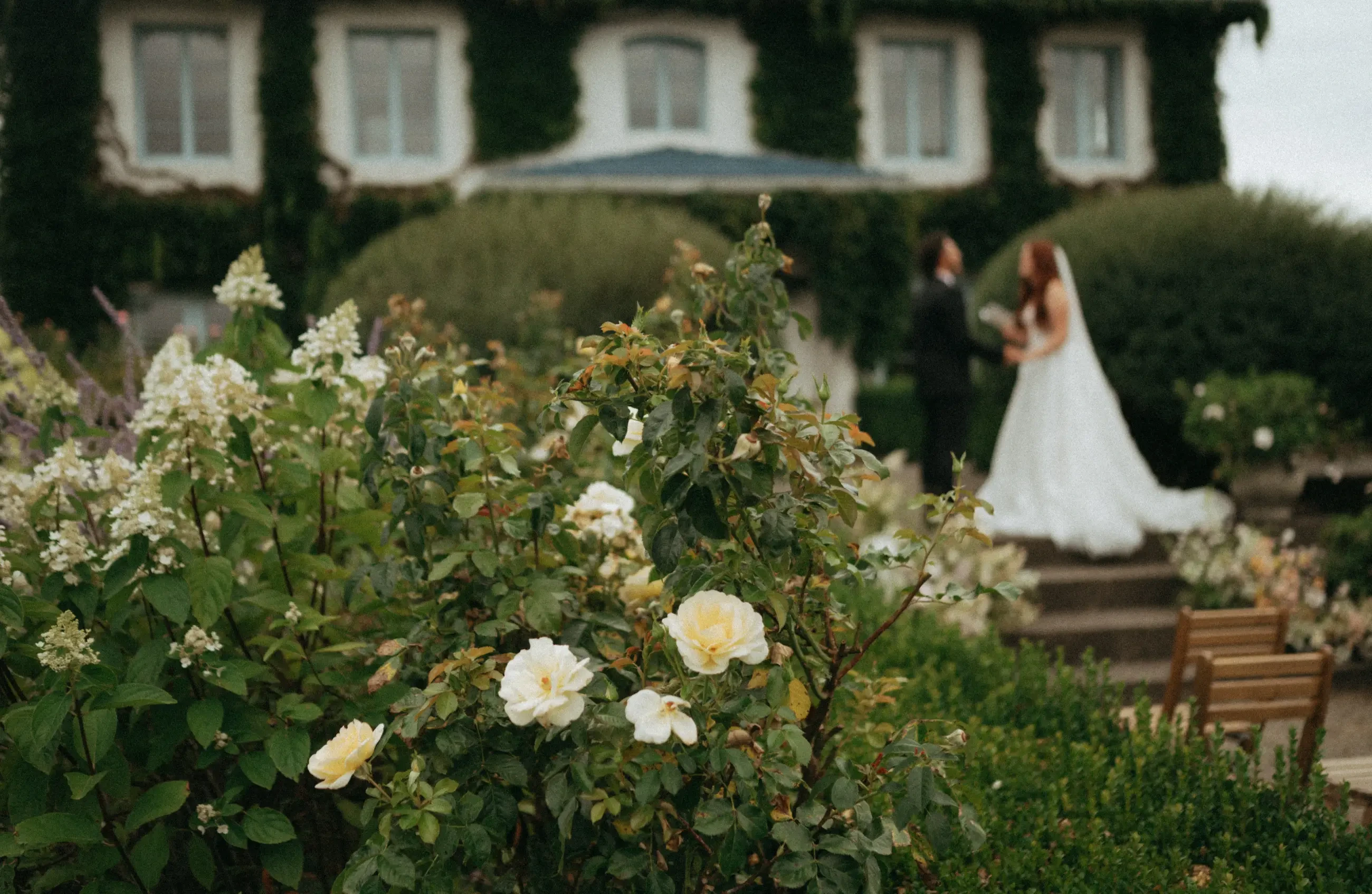 Monet Vineyards Content Day. Desktop Image