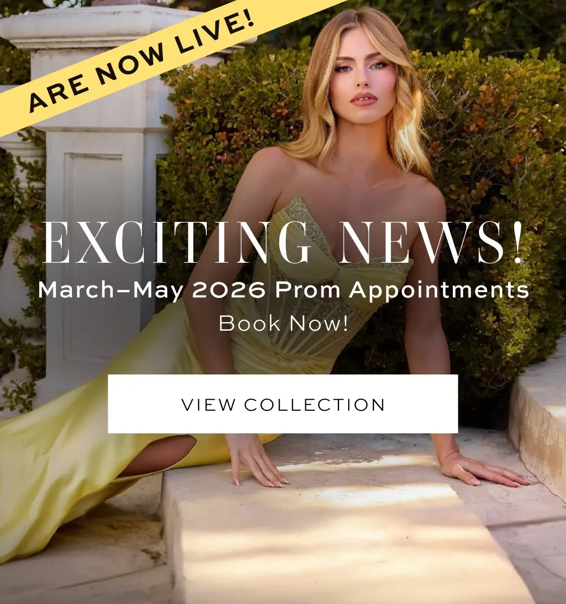 Prom collection 2026